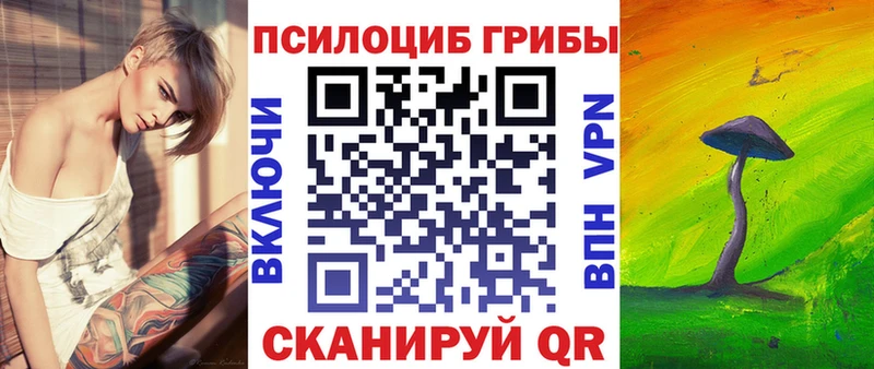 дарк нет наркотические препараты  Старая Купавна  Псилоцибиновые грибы мицелий 