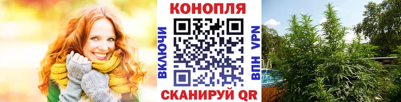 Каннабис ГИДРОПОН Старая Купавна